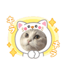 Noël"（個別スタンプ：34）