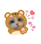 Noël"（個別スタンプ：35）