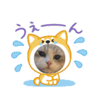 Noël"（個別スタンプ：36）