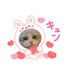 Noël"（個別スタンプ：38）