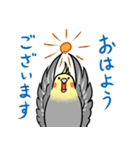 使いやすい挨拶のオカメインコ（個別スタンプ：1）