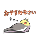 使いやすい挨拶のオカメインコ（個別スタンプ：8）