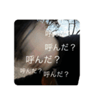 まいまい町街2(フル)（個別スタンプ：6）