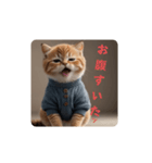 顔で語るネコちゃん（個別スタンプ：11）