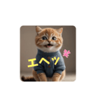 顔で語るネコちゃん（個別スタンプ：12）