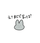 同じ顔しかしないうさぎ（個別スタンプ：3）
