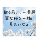 お花見＊春のお誘い（個別スタンプ：19）