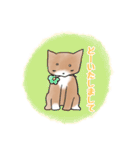 しばしばパーク（個別スタンプ：12）