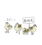ゆるいらいちょう2（個別スタンプ：3）