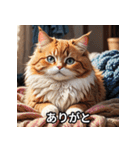 ゆるかわ！ねこスタンプ（個別スタンプ：5）