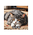 ゆるかわ！ねこスタンプ（個別スタンプ：20）