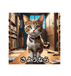 ゆるかわ！ねこスタンプ（個別スタンプ：29）