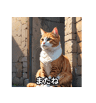 ゆるかわ！ねこスタンプ（個別スタンプ：30）