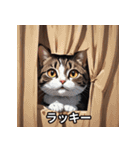 ゆるかわ！ねこスタンプ（個別スタンプ：34）