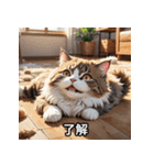 ゆるかわ！ねこスタンプ（個別スタンプ：37）