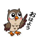 フクロウくん⭐︎（個別スタンプ：1）