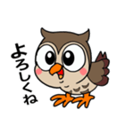 フクロウくん⭐︎（個別スタンプ：3）