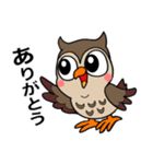 フクロウくん⭐︎（個別スタンプ：5）