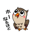 フクロウくん⭐︎（個別スタンプ：21）