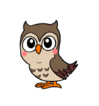 フクロウくん⭐︎（個別スタンプ：24）