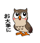フクロウくん⭐︎（個別スタンプ：34）