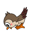 フクロウくん⭐︎（個別スタンプ：36）