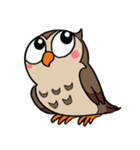 フクロウくん⭐︎（個別スタンプ：38）