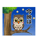 フクロウくん⭐︎（個別スタンプ：39）