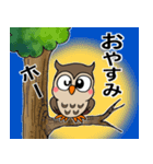 フクロウくん⭐︎（個別スタンプ：40）