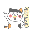 ミケぴよくん2(あいさつ編)（個別スタンプ：16）