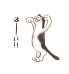 ハチワレたろさ2（個別スタンプ：1）