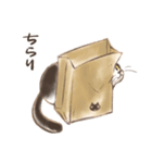 ハチワレたろさ2（個別スタンプ：5）