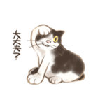 ハチワレたろさ2（個別スタンプ：13）