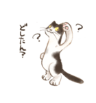 ハチワレたろさ2（個別スタンプ：16）