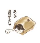 ハチワレたろさ2（個別スタンプ：18）