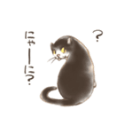 ハチワレたろさ2（個別スタンプ：21）