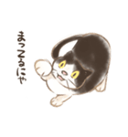 ハチワレたろさ2（個別スタンプ：22）