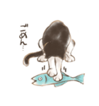 ハチワレたろさ2（個別スタンプ：23）