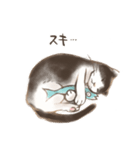 ハチワレたろさ2（個別スタンプ：24）