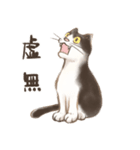 ハチワレたろさ2（個別スタンプ：30）