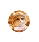 ニャンとも可愛い スタンプ（個別スタンプ：6）