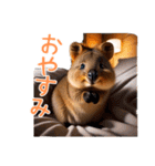 ハッピーアニマル_クオッカワラビー 33（個別スタンプ：12）