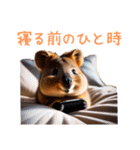 ハッピーアニマル_クオッカワラビー 33（個別スタンプ：13）