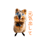 ハッピーアニマル_クオッカワラビー 33（個別スタンプ：23）