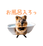 ハッピーアニマル_クオッカワラビー 33（個別スタンプ：27）