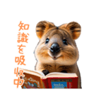 ハッピーアニマル_クオッカワラビー 33（個別スタンプ：37）