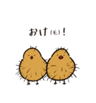 (ヘンチャイ)うさぎ（個別スタンプ：2）