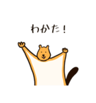 (ヘンチャイ)うさぎ（個別スタンプ：3）