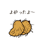 (ヘンチャイ)うさぎ（個別スタンプ：26）
