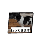 ミルクチェリー（個別スタンプ：2）
